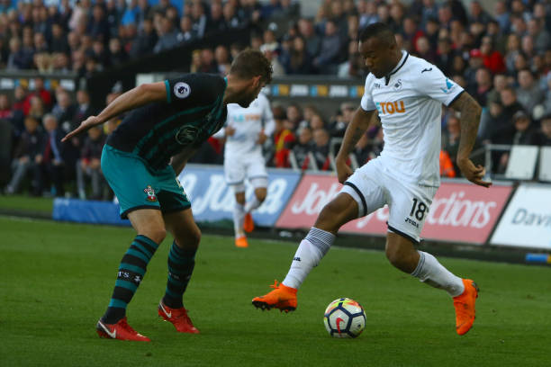 维斯塔潘 维斯塔潘