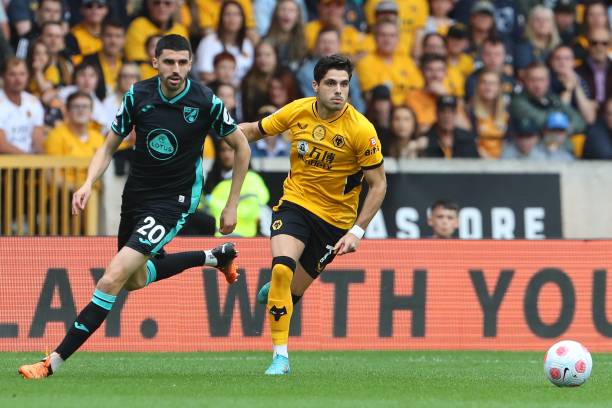 了众多的粉 了众多的粉